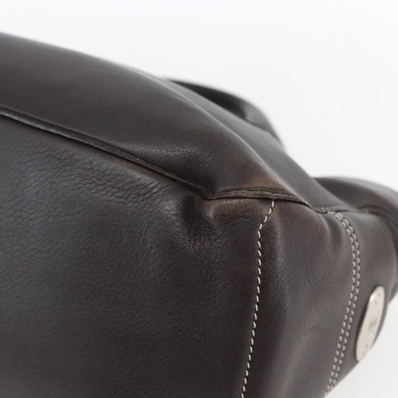 CELINE Boogie bag Hand Bag Leather Dark Brown Silver Auth hk3492