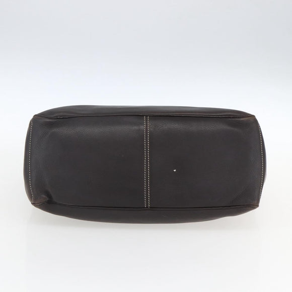 CELINE Boogie bag Hand Bag Leather Dark Brown Silver Auth hk3492