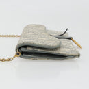 Christian Dior Trotter Canvas Saddle Chain Wallet Light Blue Gold Auth hk3821A-5