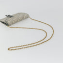 Christian Dior Trotter Canvas Saddle Chain Wallet Light Blue Gold Auth hk3821A-7