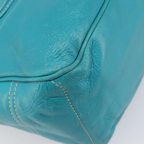 CELINE Boogie Bag Leather Light Blue Gold Auth hk4041