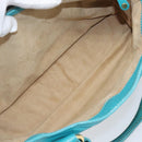 CELINE Boogie Bag Leather Light Blue Gold Auth hk4041-25