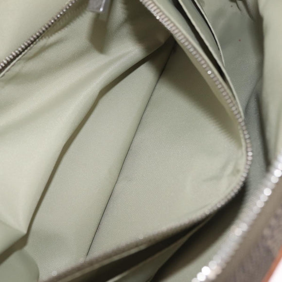 LOUIS VUITTON Damier Geant Acrobat Shoulder Bag Khaki M93619 LV Auth hk4281
