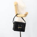 CELINE Horse Carriage Shoulder Bag Leather Black Gold Auth INZ094-21