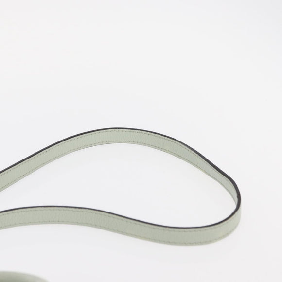 CELINE Luggage Nano Shopper Hand Bag Leather 2way Light Blue Silver Auth ka062