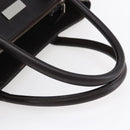 BURBERRY Nova Check Hand Bag Canvas Leather Beige Silver Auth ka065-7