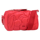 Christian Dior Trotter Canvas Oblique Dior x ERL Mirage Bag Nylon Auth ka1608SAM-1