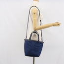 BOTTEGA VENETA Small Flap Hand Bag Denim 2way Blue Gold Auth ka1612SAM-26