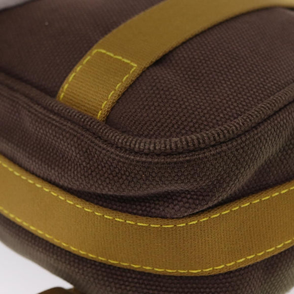 LOUIS VUITTON Antigua Buzzus PM Shoulder Bag Brown M40080 LV Auth ka1767