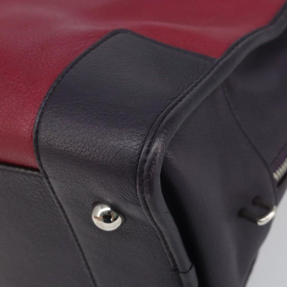 LOEWE anagram Amazona 28 Hand Bag Leather Silver Pink Auth ka1898V