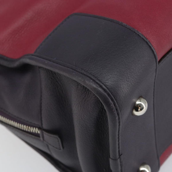 LOEWE anagram Amazona 28 Hand Bag Leather Silver Pink Auth ka1898V