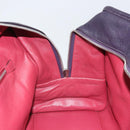 LOEWE anagram Amazona 28 Hand Bag Leather Silver Pink Auth ka1898V-21