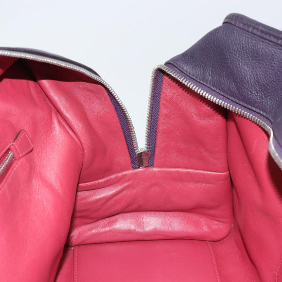 LOEWE anagram Amazona 28 Hand Bag Leather Silver Pink Auth ka1898V