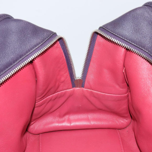 LOEWE anagram Amazona 28 Hand Bag Leather Silver Pink Auth ka1898V