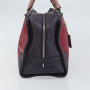 LOEWE anagram Amazona 28 Hand Bag Leather Silver Pink Auth ka1898V-3