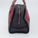 LOEWE anagram Amazona 28 Hand Bag Leather Silver Pink Auth ka1898V-4