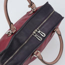 LOEWE anagram Amazona 28 Hand Bag Leather Silver Pink Auth ka1898V-6