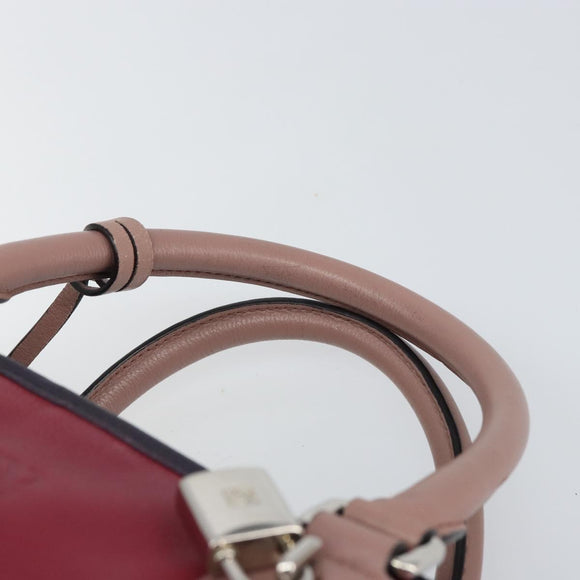 LOEWE anagram Amazona 28 Hand Bag Leather Silver Pink Auth ka1898V