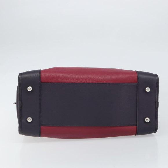 LOEWE anagram Amazona 28 Hand Bag Leather Silver Pink Auth ka1898V