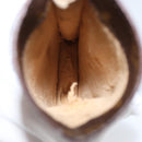 LOUIS VUITTON Monogram Etui Lunette Simple Glasses Case LV Auth ka311-9