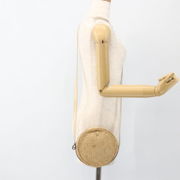 Christian Dior Trotter Canvas Shoulder Bag Beige Auth ka3176