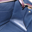 CELINE Trapeze Hand Bag Leather 2way Brown Black gold Auth ka337-20