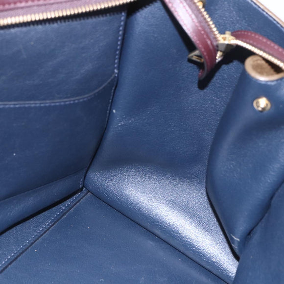 CELINE Trapeze Hand Bag Leather 2way Brown Black gold Auth ka337