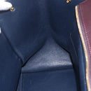 CELINE Trapeze Hand Bag Leather 2way Brown Black gold Auth ka337-21