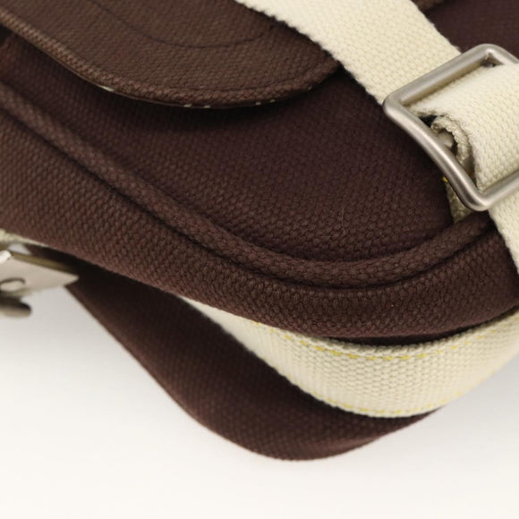 LOUIS VUITTON Antigua Buzzus PM Shoulder Bag Brown M40080 LV Auth ka3449A
