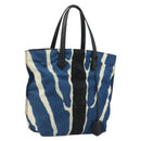 FENDI Tote Bag Nylon Blue Silver Auth ka3942-1