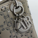 Christian Dior Lady Dior Canage Hand Bag Satin 2way Gray Silver Auth ka4931SAM-19