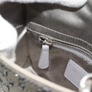 Christian Dior Lady Dior Canage Hand Bag Satin 2way Gray Silver Auth ka4931SAM-23