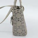 Christian Dior Lady Dior Canage Hand Bag Satin 2way Gray Silver Auth ka4931SAM-4