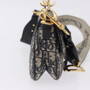 Christian Dior Trotter Saddle Hand Bag 2way Navy Gold Tone Auth ka5351M-5
