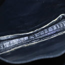 LOEWE Shoulder Bag Leather White Gold Auth ka557-12