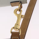 CELINE Luggage Nano Hand Bag Leather Suede 2way Beige Gold Auth ka5649A-20