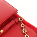 LOEWE Chain Goya Shoulder Bag Leather Red Gold Auth ka576M-22