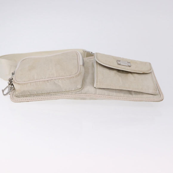 Christian Dior Trotter Canvas Waist bag Nylon White Silver Auth ka5837A