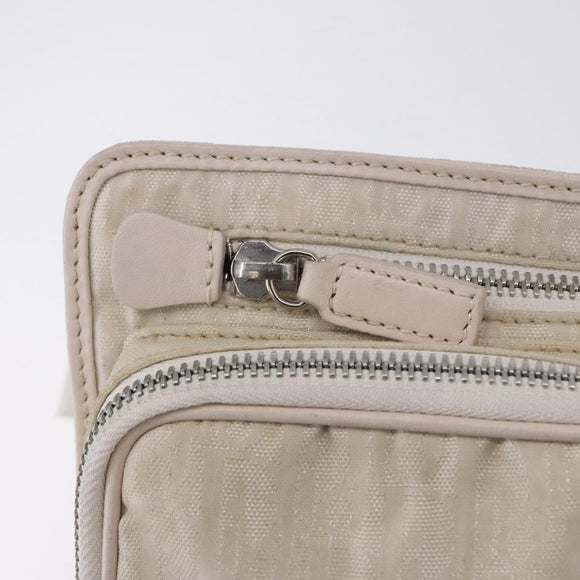 Christian Dior Trotter Canvas Waist bag Nylon White Silver Auth ka5837A