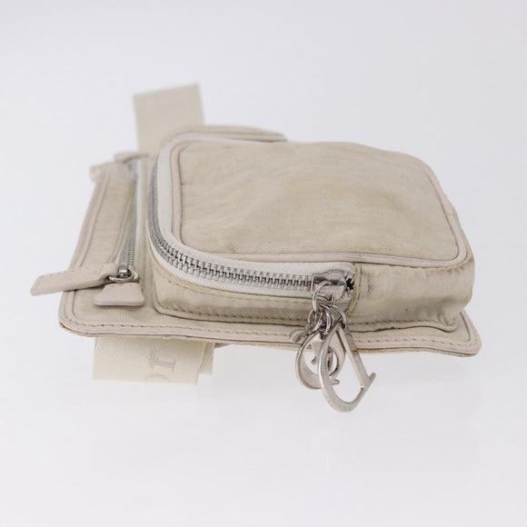 Christian Dior Trotter Canvas Waist bag Nylon White Silver Auth ka5837A