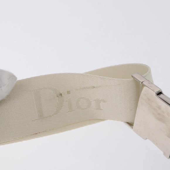 Christian Dior Trotter Canvas Waist bag Nylon White Silver Auth ka5837A