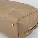 LOEWE Amazonas Hand Bag Leather Gold Auth ka5872A-15