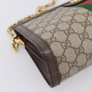 GUCCI GG Supreme Web Sherry Line Chain Shoulder Bag PVC 503877 Auth ka6065A-11