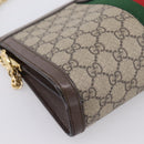 GUCCI GG Supreme Web Sherry Line Chain Shoulder Bag PVC 503877 Auth ka6065A-13
