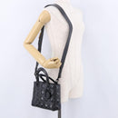 Christian Dior Canage Hand Bag Leather 2way Black Auth ka6141SAV-28