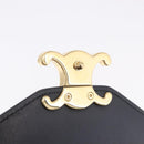 CELINE Triomphe Chain Shoulder Bag Leather Black Gold Tone Auth ka6199SAM-9