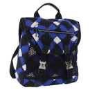 CHANEL Airline Tote Bag Nylon 2way Blue Silver CC Auth ka6246V-1