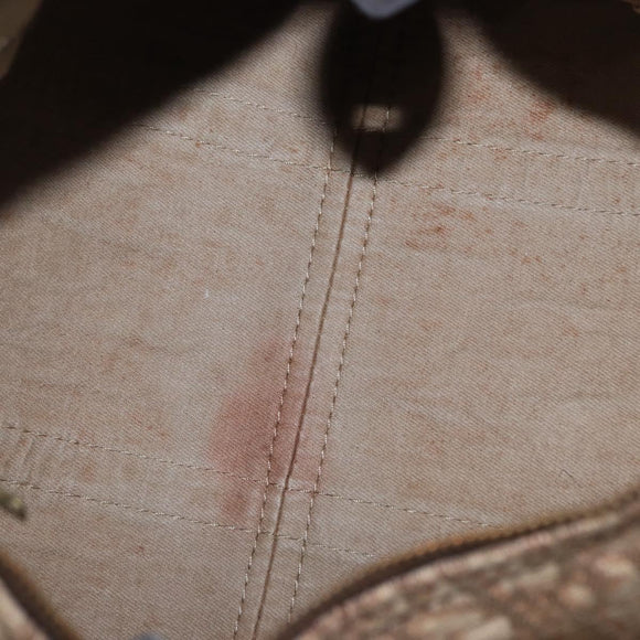 Christian Dior Trotter Canvas Hand Bag Brown Gold Auth ka627