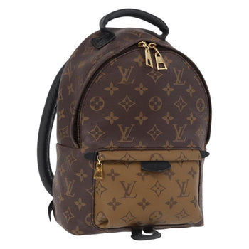 Louis Vuitton Palm Springs Backpacks