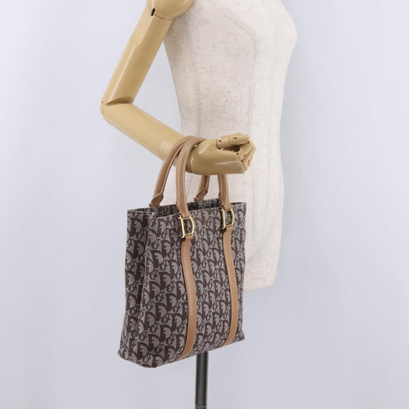Christian Dior Trotter Canvas Hand Bag Brown Gold Auth ka6338V